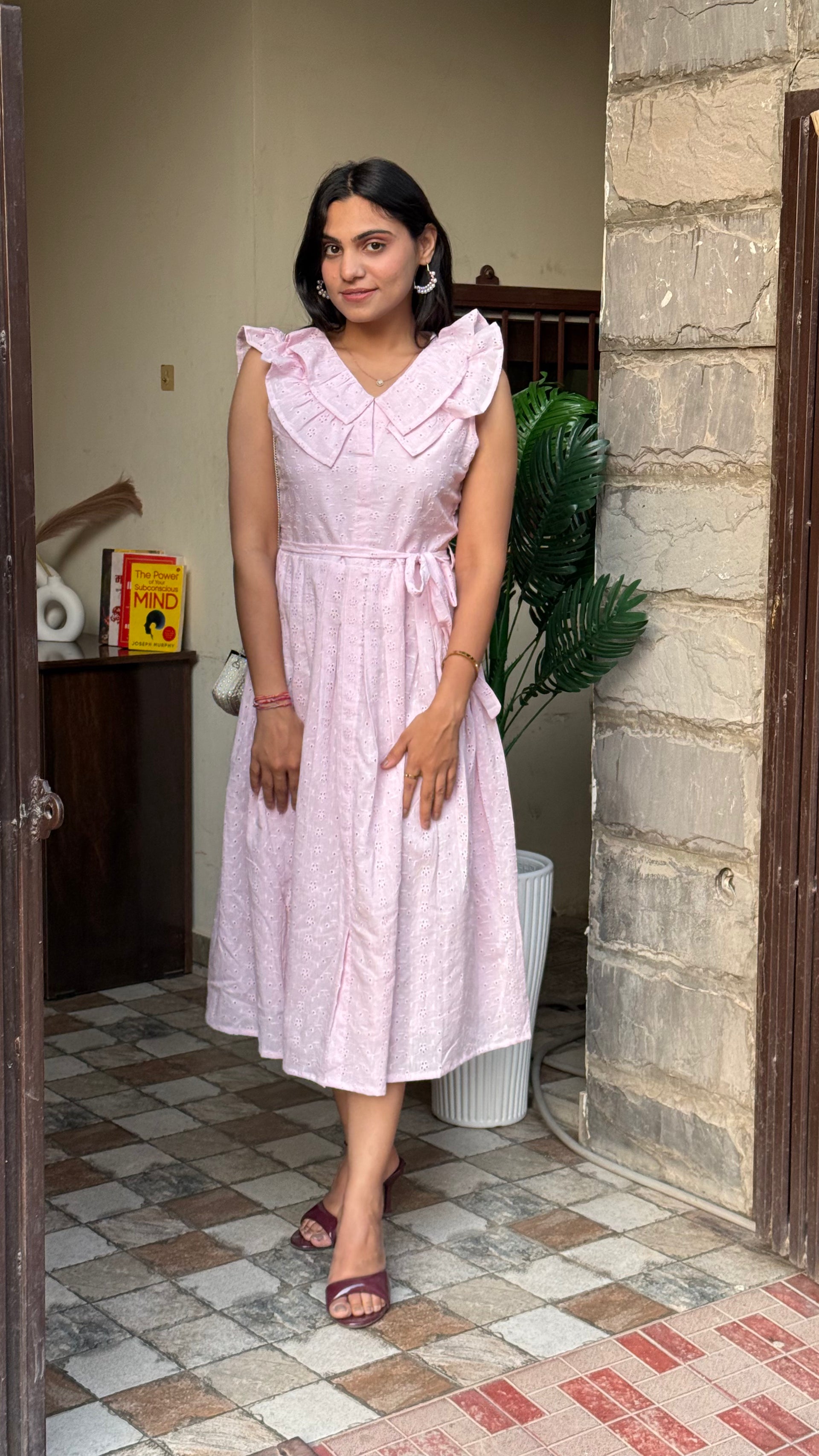 Pretty Please Schiffli Cotton Dress