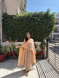 Noura Anarkali Set